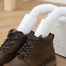 디어마루 이미지