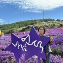 부엔아이안경 이미지