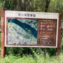 미사뚝방산책로 이미지