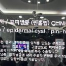 장미꽃과나이팅게일외과의원 이미지