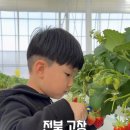 필베베팜