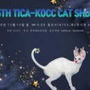 랙돌캐터리파이널돌 이미지