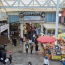 속초해랑중학교 이미지