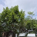 제 846차 산행 북한산 ( 문필봉480m ) 이미지
