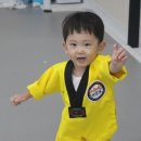 나라찬태권도 | [강북구] 24개월 하임이 첫 태권도 체험 후기 : 우이동 나라찬 태권도