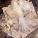 공공자전거대여소 송내역 이미지