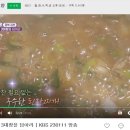 정골참맛된장