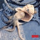 샘골산장민박 이미지