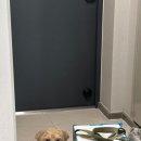 개가사는그집 이미지