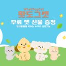 몬 펫 | 강아지유모차 무료 펫 선물! 왓도그캣 펫유모차 후기
