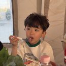 인드림빌