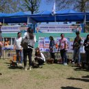 베르네집 이미지