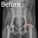 사우동골 이미지