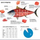 회친구참치
