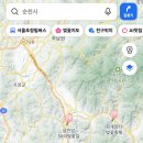 그레이70호텔 | 2026 전국 벚꽃 개화 지도: 지역별 명소 &amp; 축제 일정 및 실시간 확인 꿀팁 총정리