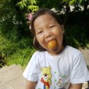 알찬유정란