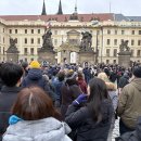 엘베강독일 | 독일 체코 맞춤여행 4박5일 후기 2월 12일~17일