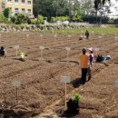 용진대영아파트 이미지