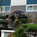 후즈밥 네이버블로그
