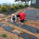 망상농장 이미지