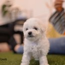 스타미용타운 이미지