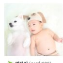 스타일 멍멍 이미지