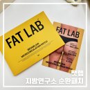 팻랩 지방연구소 순환패치 후기 붙이는 바디패치 홈케어