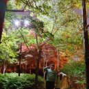 [야간]단전호흡 이미지