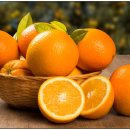 굿바디핏 이미지