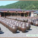 콩이랑농원 이미지