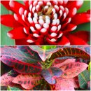 상동호수공원 이미지