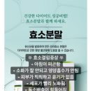 효소다이어트샵 이미지