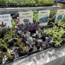 현대종묘사 이미지