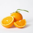 오렌지 이미지