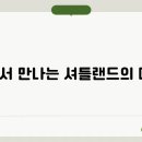 브리더클럽 이미지