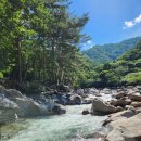 지리산장당계곡식당 | [전북●남원]자연+건강 한 번에!/뱀사골 계곡&amp;지리산천왕봉식당 후기/2025.7.26
