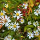 센텀중앙로 이미지