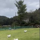 코튼빌리지 부산본점 이미지