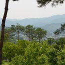 용인자연휴양림 이미지