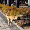 시민공원 남문 인근-2 이미지