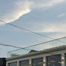 산호집 | 부산 기장 아나고 맛집 l 붕장어회/구이 전문 ‘산호집’ 내돈내산 후기