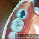 중원초교 이미지