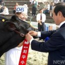 송라목장 이미지