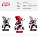 파코라반베이비 이미지