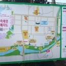 공주 가볼만한곳, 유구 색동 수국축제장에서 수국꽃 여행하기.