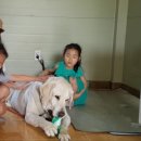 가평물골숲계곡캠핑장 이미지