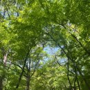 금호문구 | 🌿 서울 나들이 데이트 | 창덕궁 후원 예약 방법, 후기 | 창덕궁 달빛기행 | 주차 꿀팁