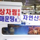 소희수산