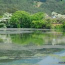 허당로-2 이미지