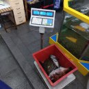 회포장 - 논산시 | 회포장